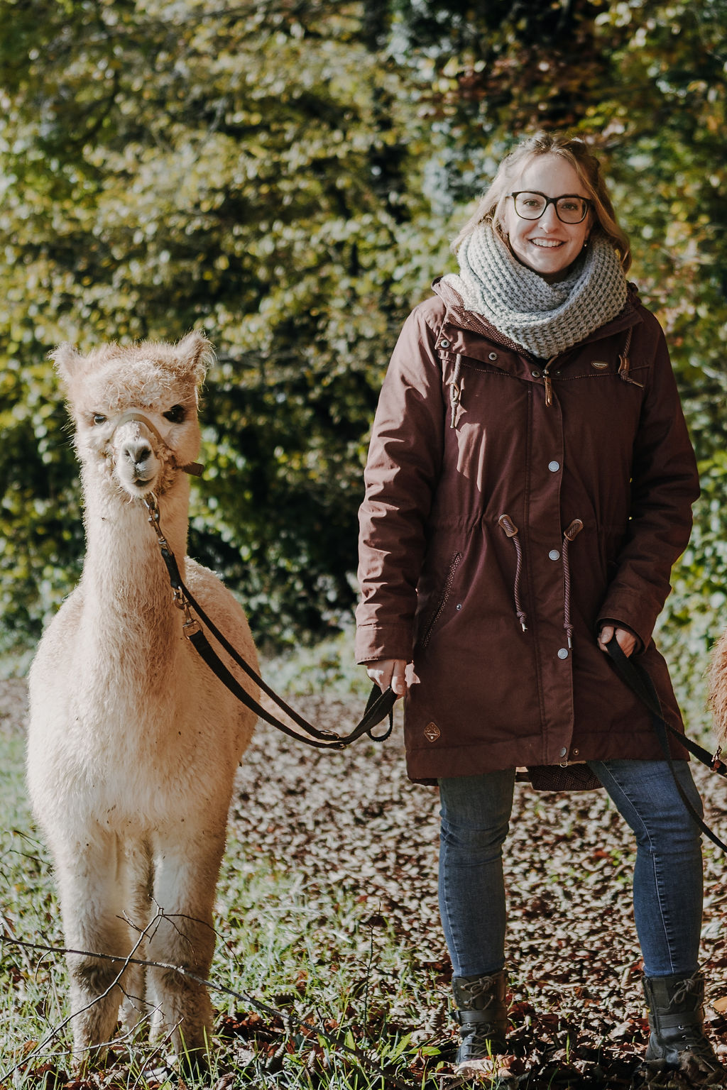 Alpaka, Sir Henry und Sarah