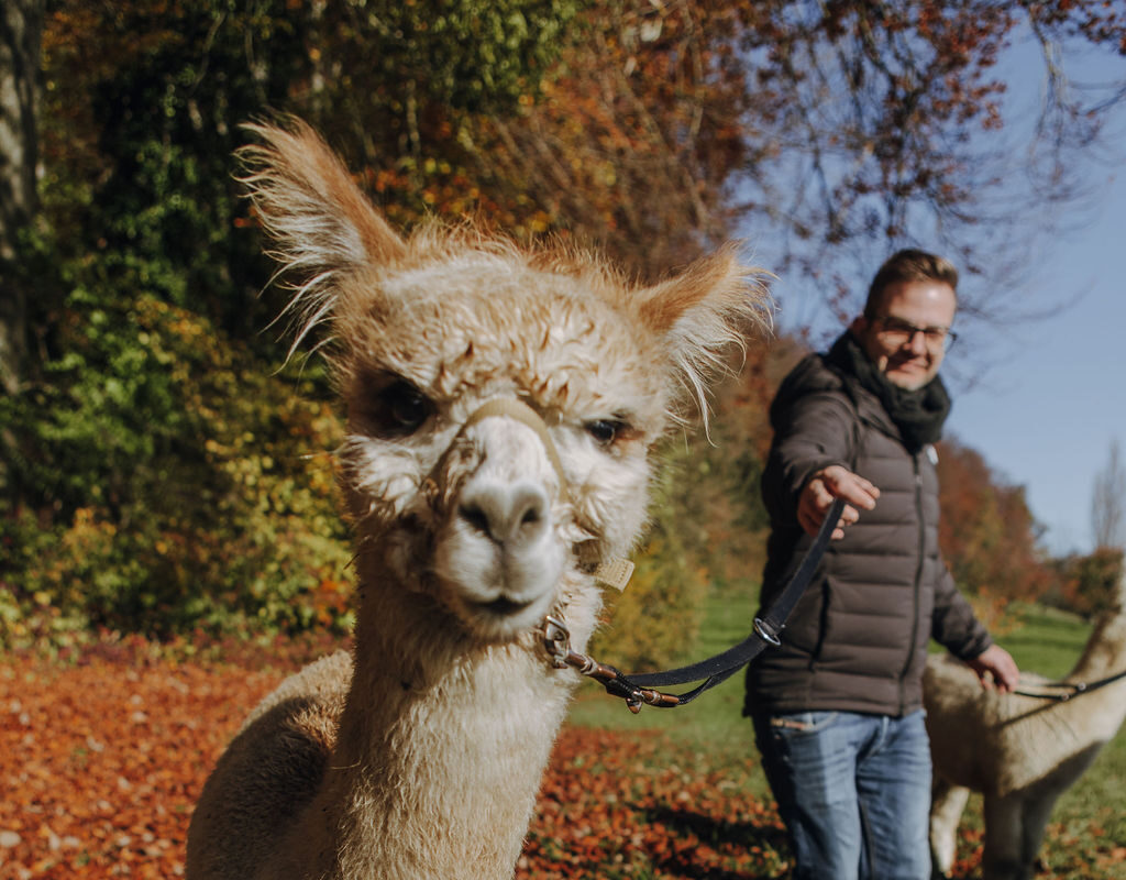 Sir Henry - der feinsinnige Gentleman