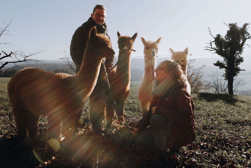 Alpakas und Familie